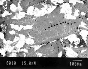 Plagioclase BSE (small)