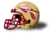 Florida State Football Helmet