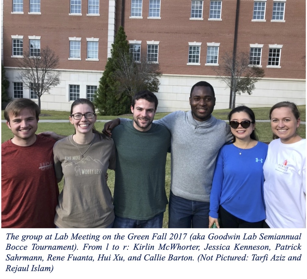 Goodwin Group Post-Bocce Nov
      2017