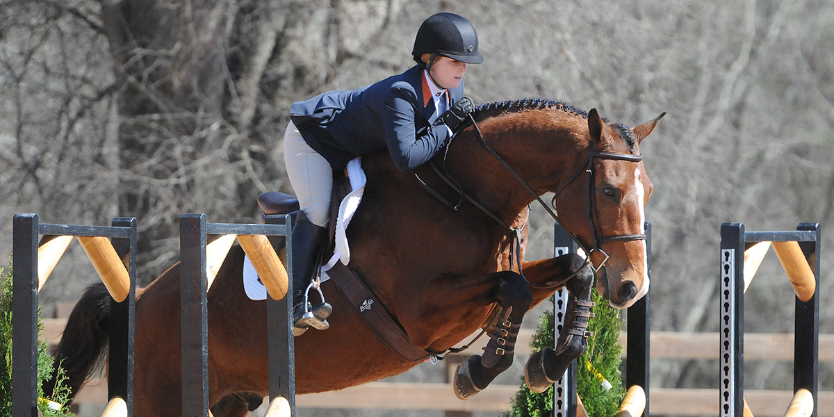Horse and rider jump fence in equestrian competition