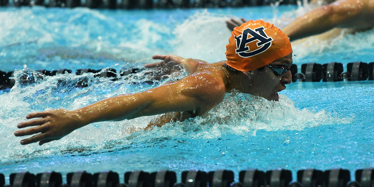 Swimmer racing in the butterfly stroke