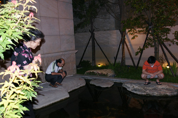 DSC04344