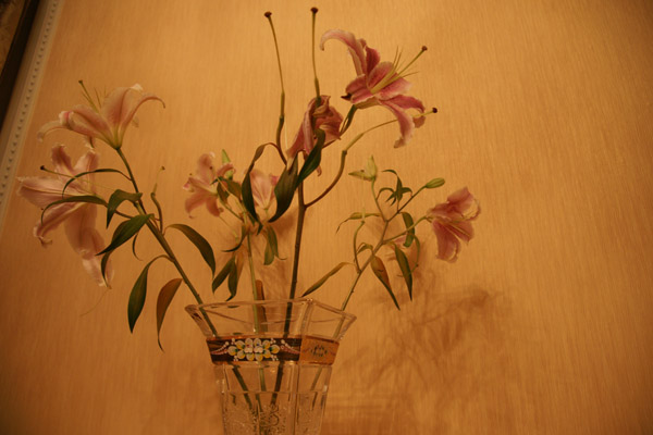 DSC04408