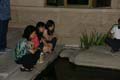 DSC04355