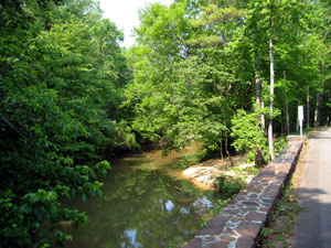 http://www.alapark.com/parks/images/chewacla/CHEW%20roadside%20creek125_2501.jpg