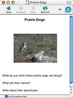 prairie dog