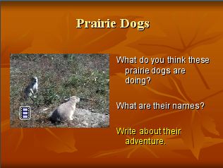 prairie dog