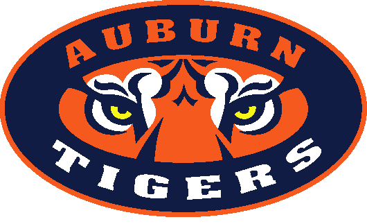 Auburn Sports Image