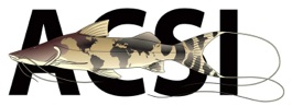 ACSI II logo